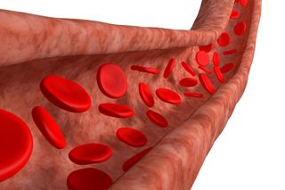 Blood cells flow through a blood vessel.
