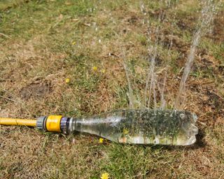 A DIY sprinkler made from soda water bottle