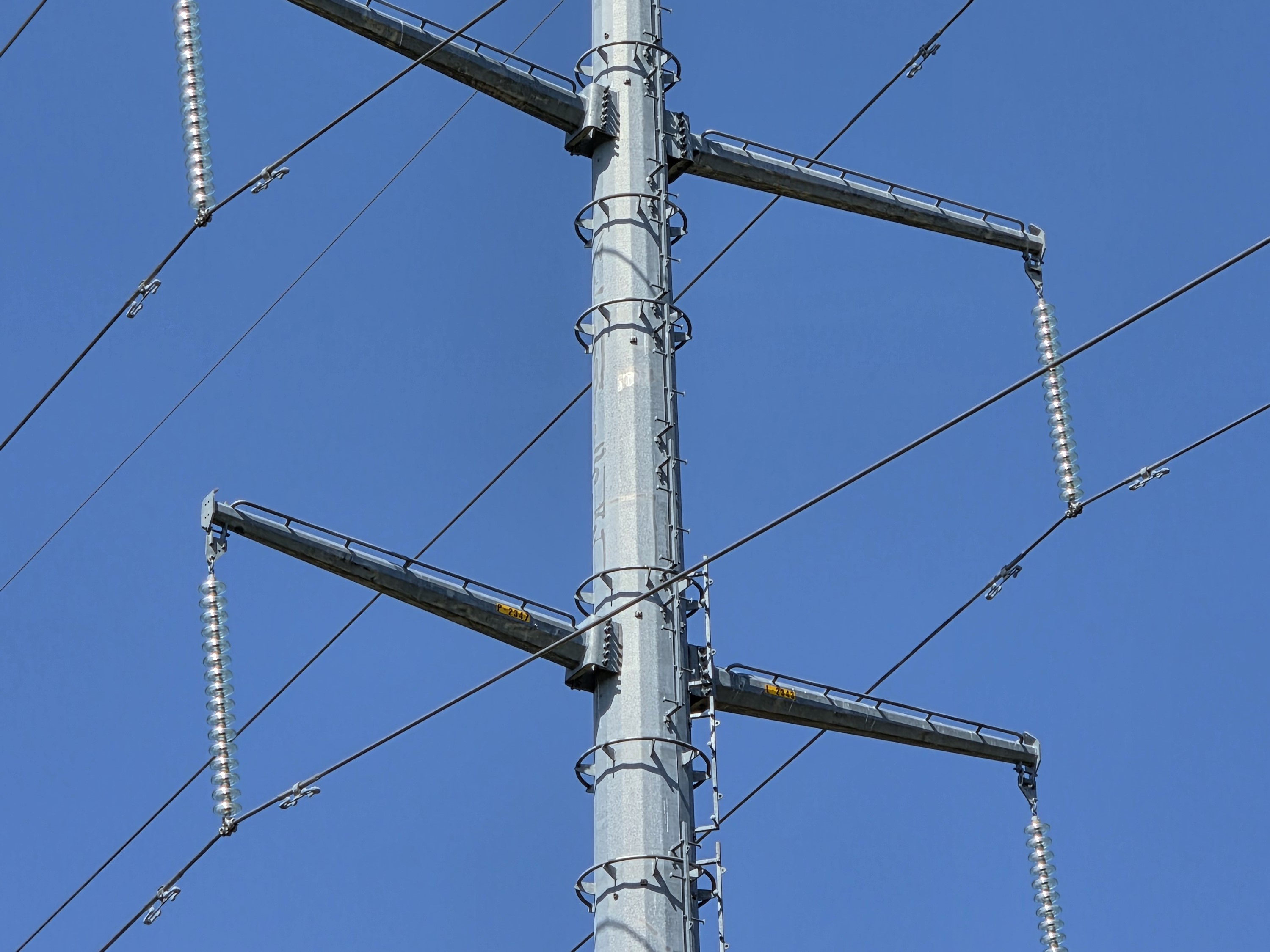 Samsung Galaxy S26 Plus Review Camera Samples