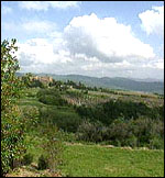 E6ED7B8B-C9E8-4502-8459-E037F71D775A.jpg