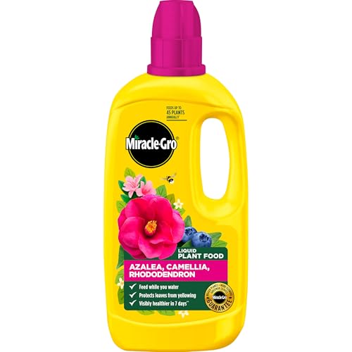 Miracle-Gro 121180 Azelia, Camellia &amp;amp; Rhododendron Concentrated Plant Food, 800 Ml, Natural