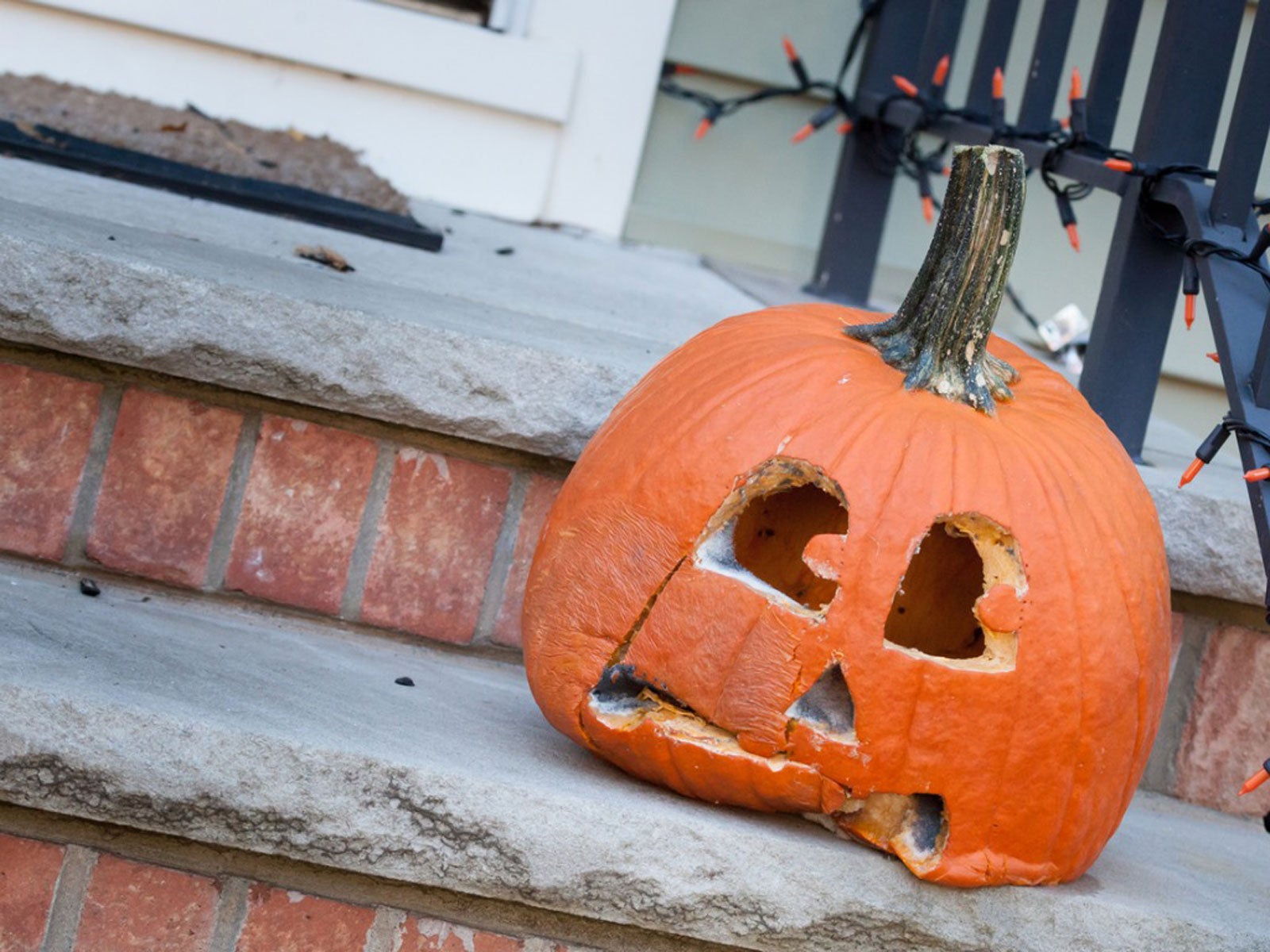 What To Do With Old Pumpkins Uses For Pumpkins After Halloween Gardening Know How