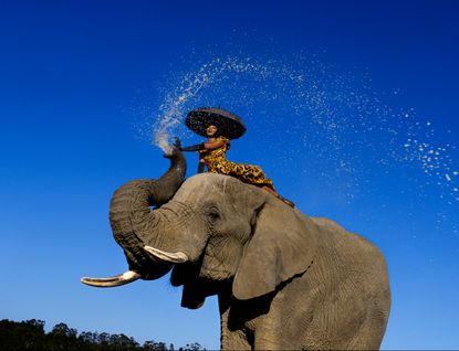 Naomi Campbell on an elephant