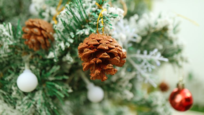 Closeup of a Dried Pine Cone Ornament Hanging on a Snow Covering Christmas Tree