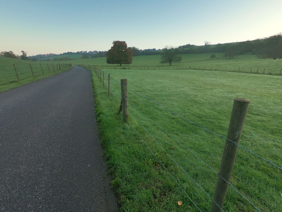 The HDR mode for stills works well...