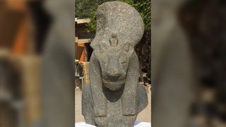 The head of the powerful goddess Sakhmet, who had the head of a lion and the body of a woman.