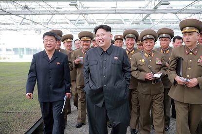 Kim Jong Un inspecting a tree nursery.