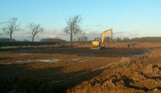 Work on Lauren Shannon's new yard, early February 2014