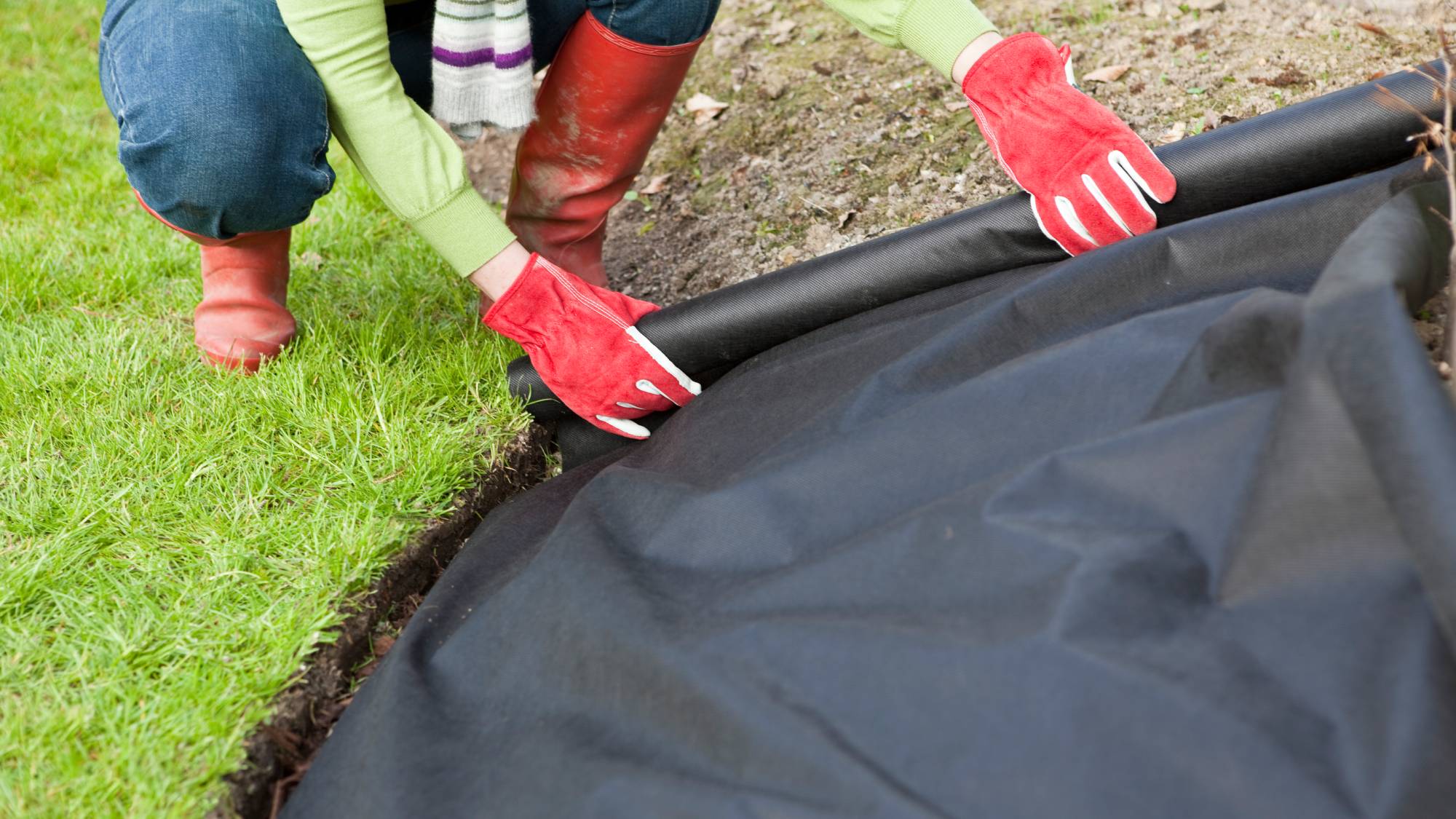 Woman lays down landscape fabric