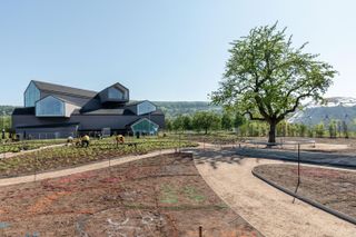 A work in progress shot of Piet Oudolf's garden for Vitra as it's being planted, with Vitra Haus visible in the background