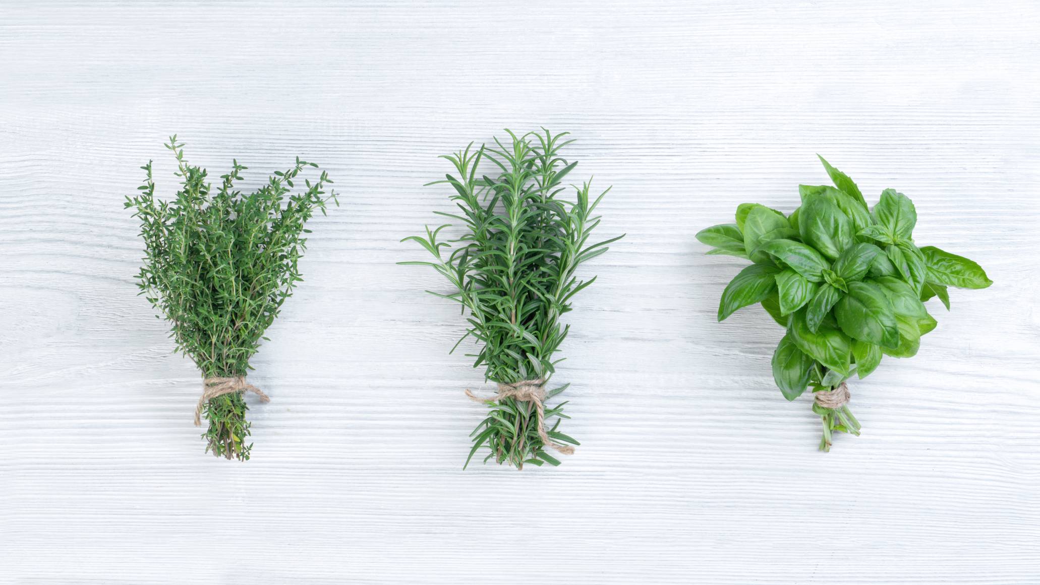 Bundles of thyme, rosemary, and basil on a white wooden background