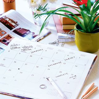 table with calendar and plant