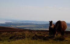 The Two Moors festival brings the best live classical music to Exmoor and Dartmoor