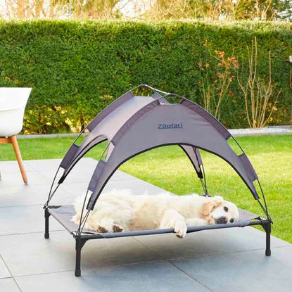 Last year's sell-out Lidl dog bed with sun shade is back this week ...