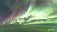 ribbons of green light with purple fringes fill the entire sky.