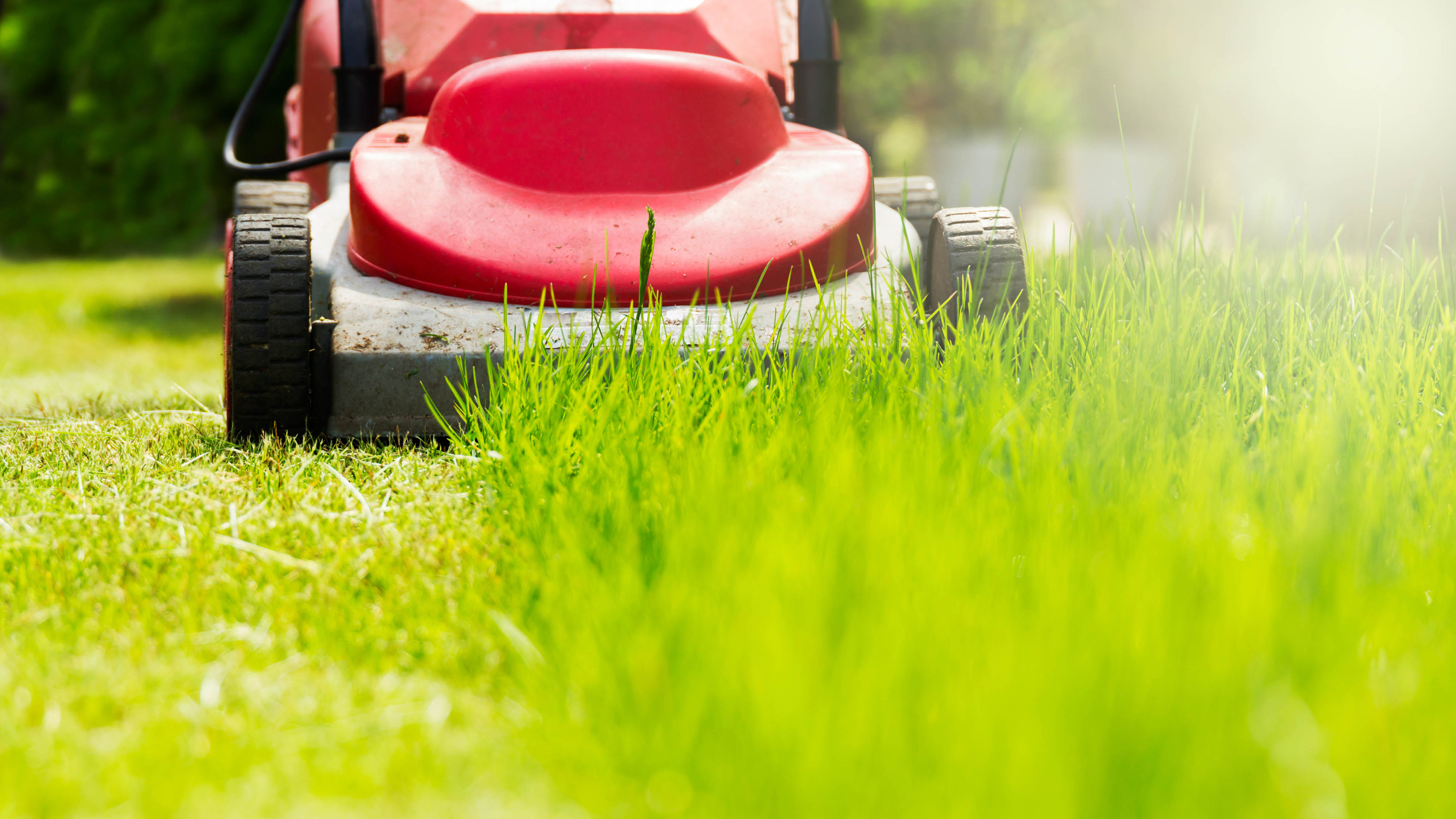 Lawn Care Utah