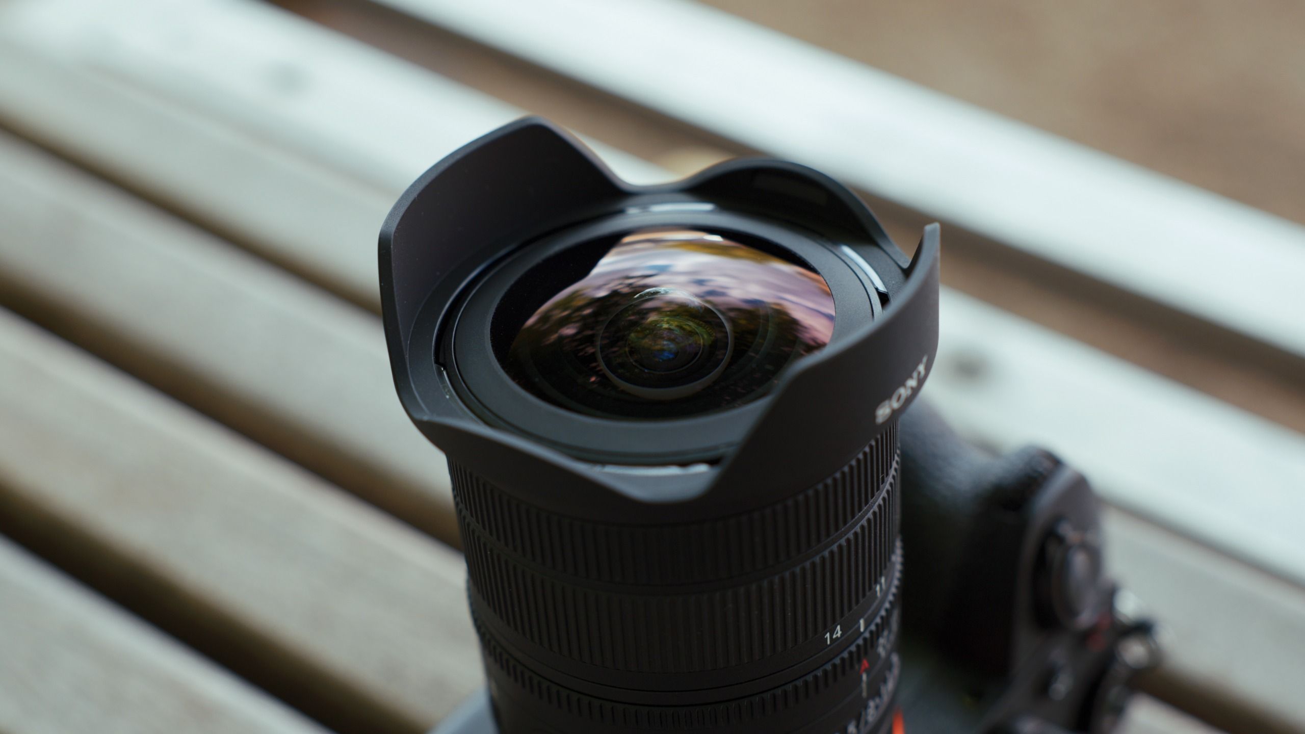 Close-up of the curved front element and built-in lens hood of the Sony FE 8-14mm F3.5 G.