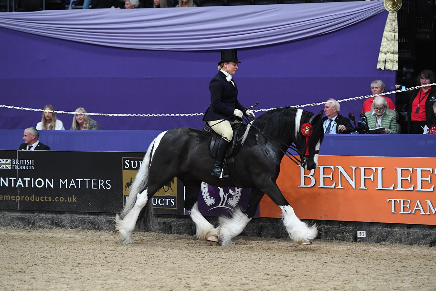 Rock On Tommy V with Sophia Chambers at HOYS 2021