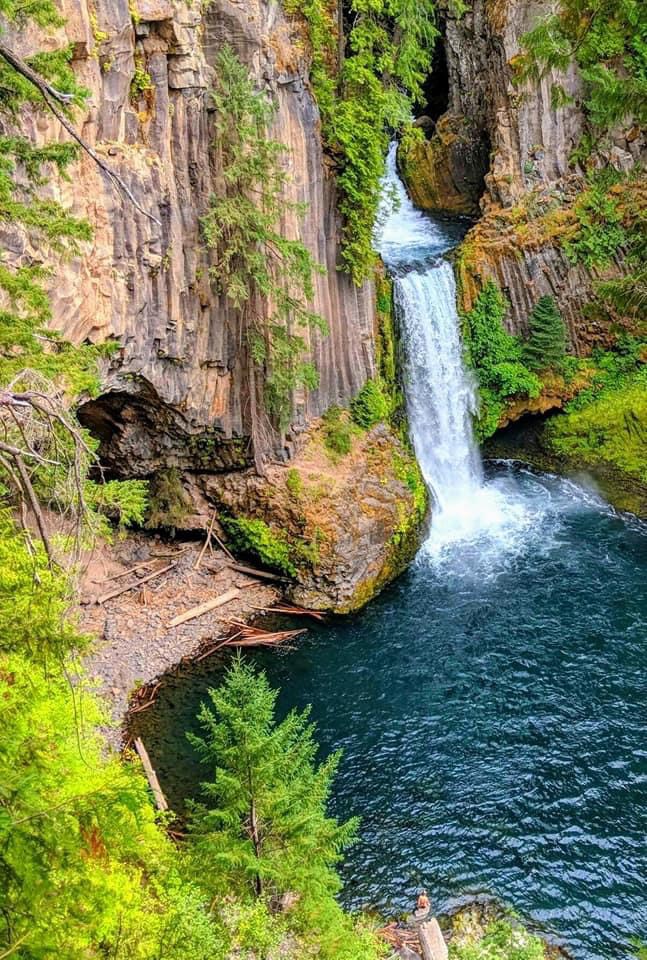 GuruShots - March 2026