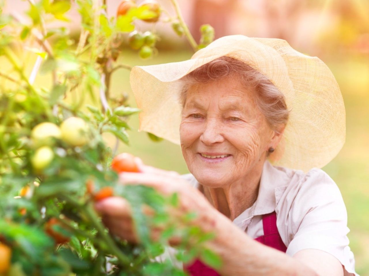 Senior Citizen In The Garden