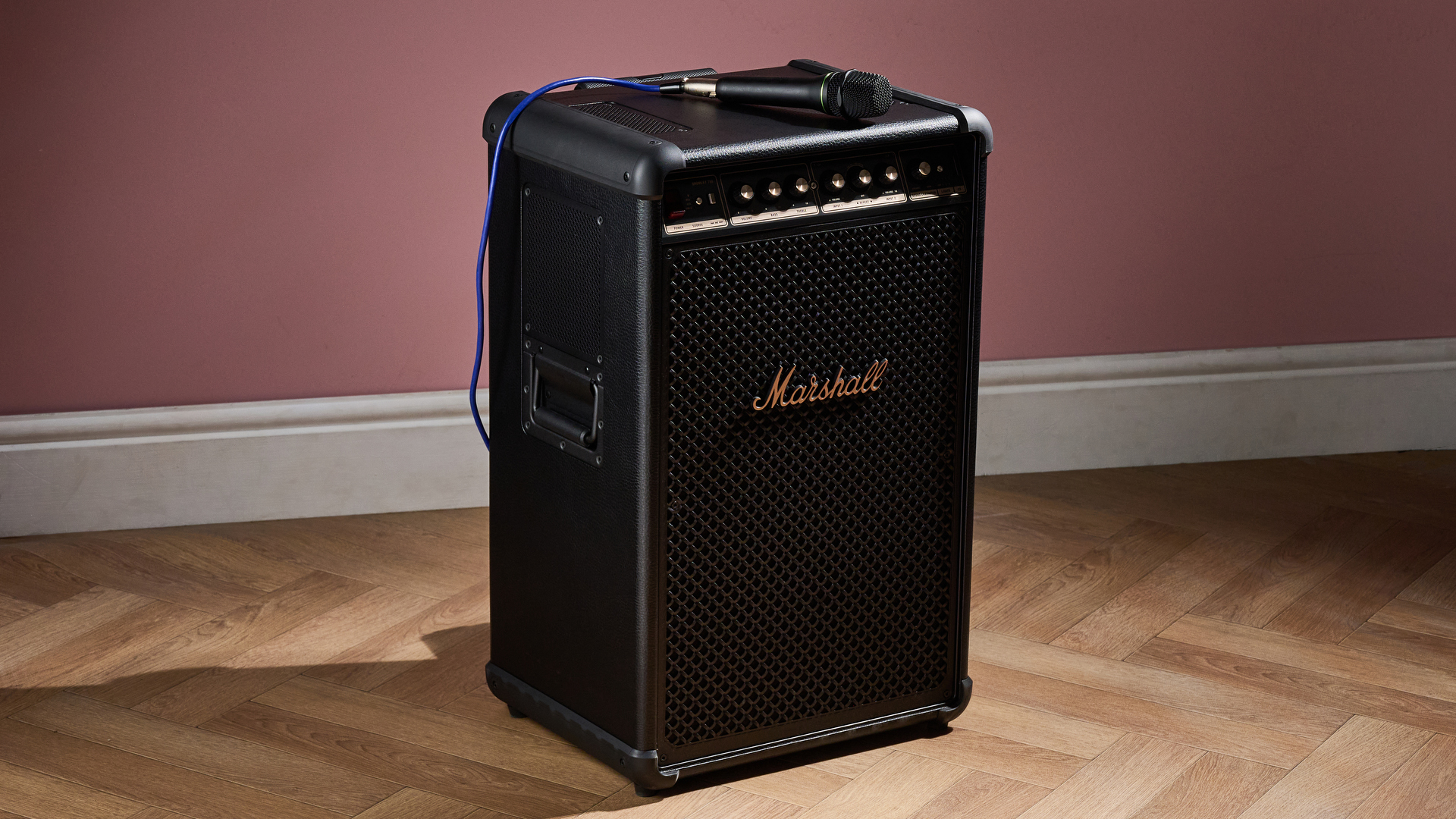 Marshall Bromley 750 with microphone