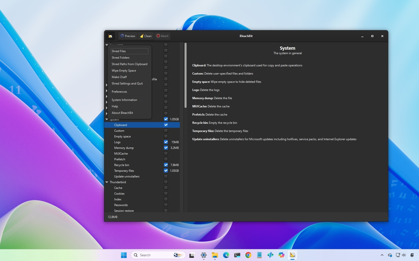 Windows 11 desktop and the BleachBit tool opened.