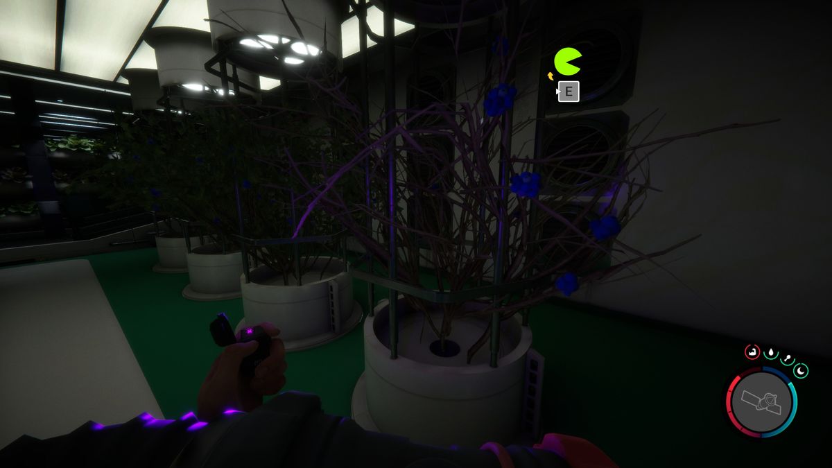 Sons of the Forest food bunker
