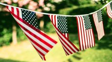 American flag pennants strung together in backyard
