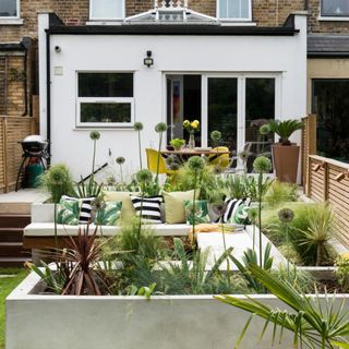 Garden with a raised flowerbed with alliums and grasses, seating area, patio and house in the background. The garden of a four bedroom Victorian house in North London, home of Tracey James and Paul Roye and their three adult children.