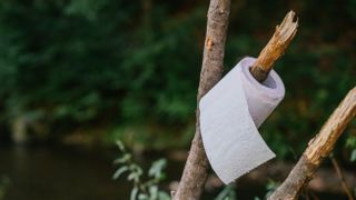 Roll of toilet paper on a tree branch