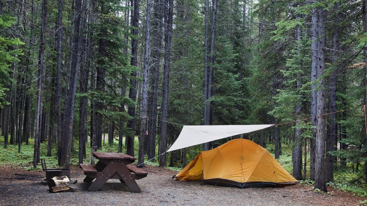 Our 8 spring camping tips for camping trips | Advnture