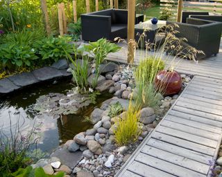 Backyard patio and pond in afternoon sun