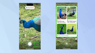 How to identify plants and animals using Visual Intelligence on an iPhone