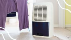 picture of dehumidifier in room next to drying laundry