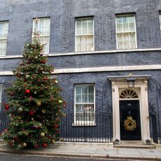 house with christmas tree