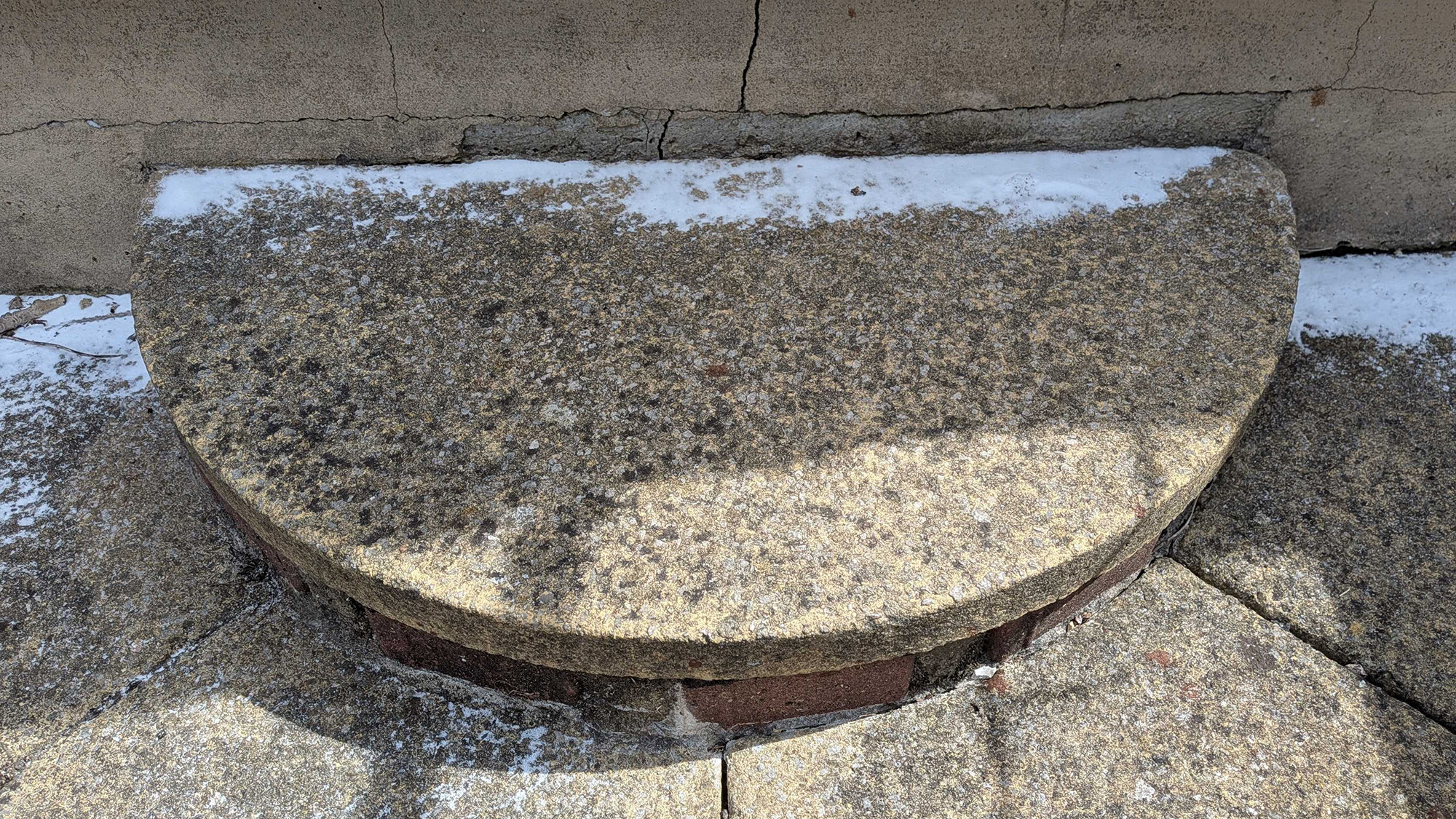 diatomaceous earth in backyard