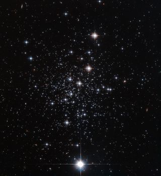 Palomar 12 Globular Cluster