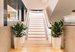 stairs and plants at wework singapore
