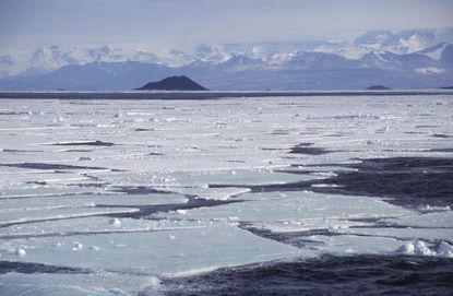 A strange sound is coming from the ocean.