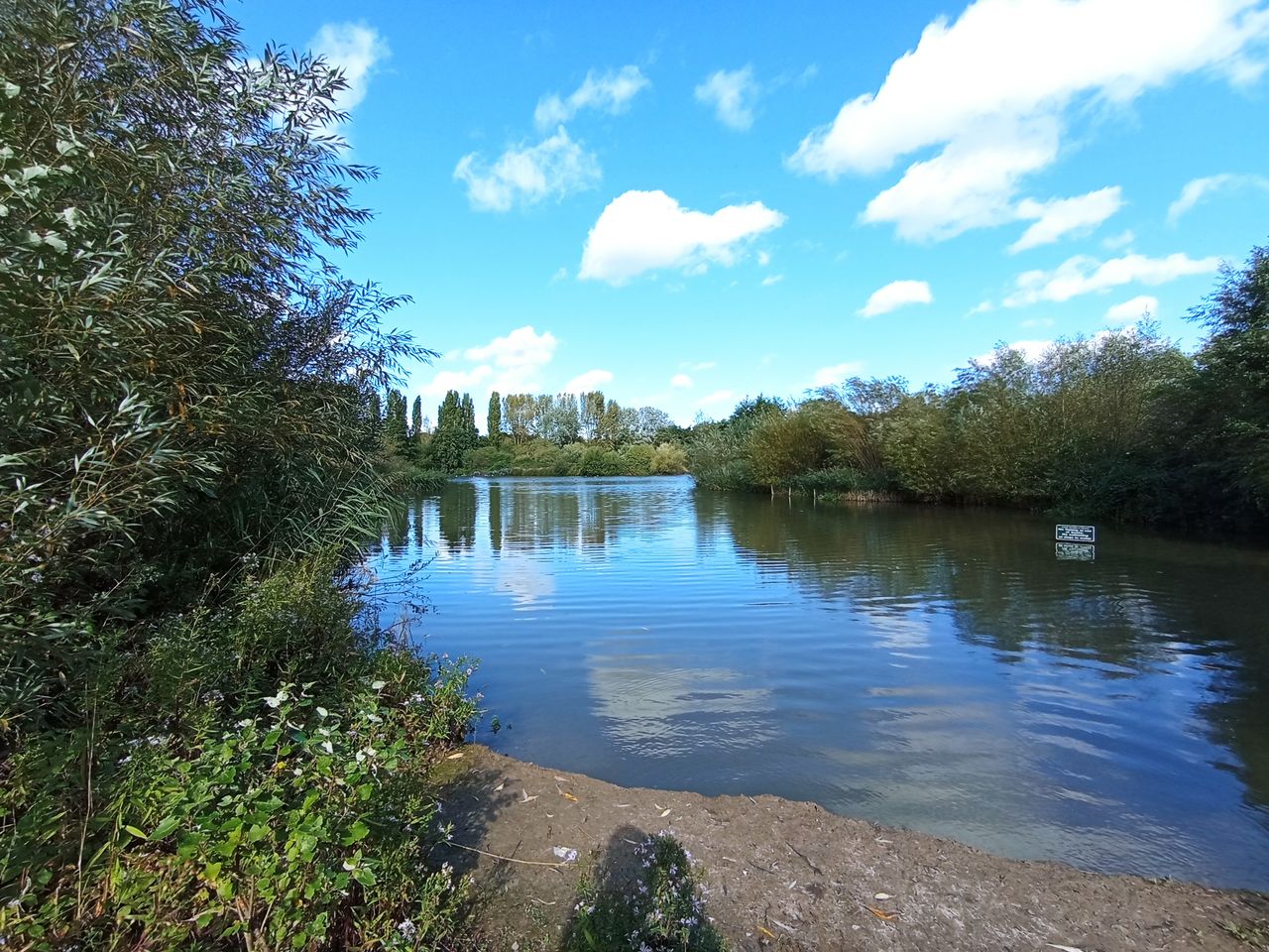 A Redmi 10 camera sample showing a lake