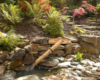 rocks, ferns, wall and water feature