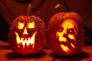 With their freaky textures, warty pumpkins make goofy jack-o-lantern faces goofier and scary carved faces scarier.