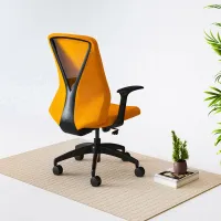 Flexispot Oka BS9