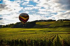 burgundy hot air balloon