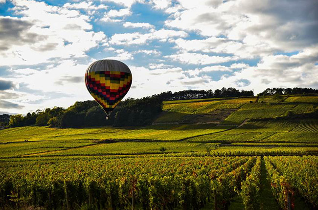 burgundy hot air balloon
