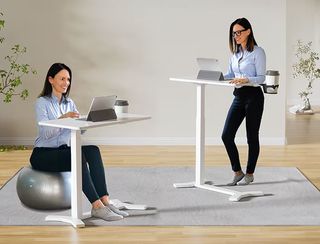 Flexispot H5 Adjustable Table exercise ball and standing