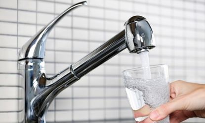 Drinking tap water could be linked to a rise in food allergies in the U.S.