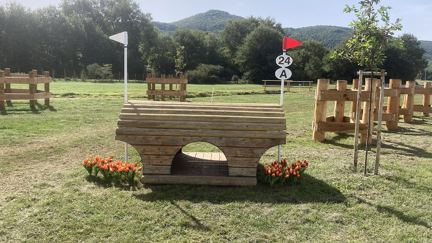 Eventing World Championships cross-country course: fence 24a long route