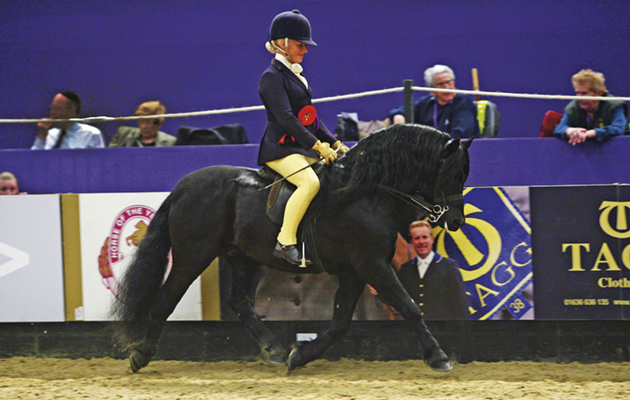 Horse of the year show HOYS wednesday 6 oct 2010