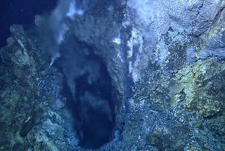 ocean expeditions, earth, mid-cayman spreading zone, hydrothermal vents, mid-cayman ridge, deep sea research, deep sea animals, chemosynthesis, origins of life, extreme life, extremophiles, Jason remotely operated vehicle